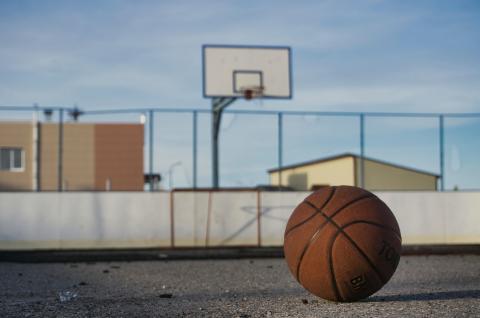 Basket staket